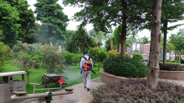 Guangdong's Jiangmen reports 2,239 new weekly cases of chikungunya fever