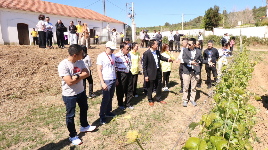 Fruitful business opportunities got for the Hengqin&Macao Delegation in Portugal