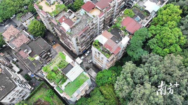 目前，当地社区和相关职能部门正在积极组织开展清淤、排险等后续处置工作。