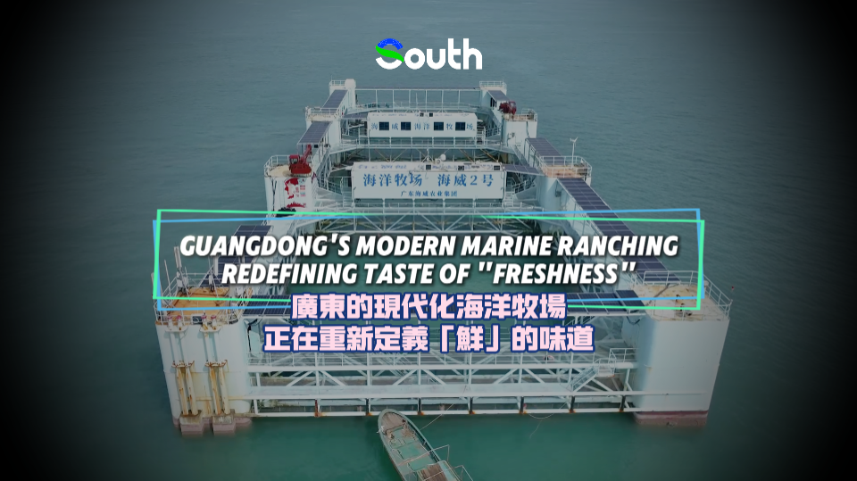 Guangdong's modern marine ranching redefining taste of "freshness"