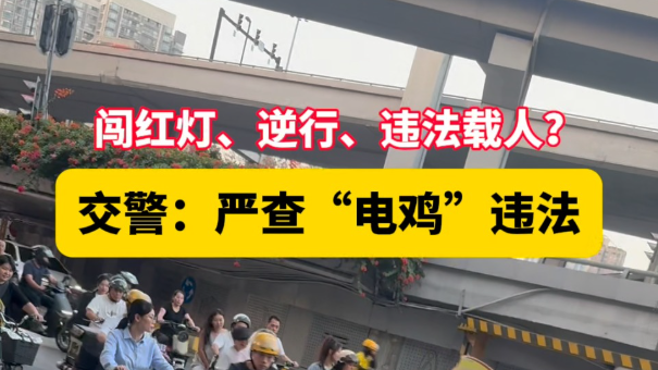 闯红灯、逆行、违法载人？广州交警：严查“电鸡”违法！