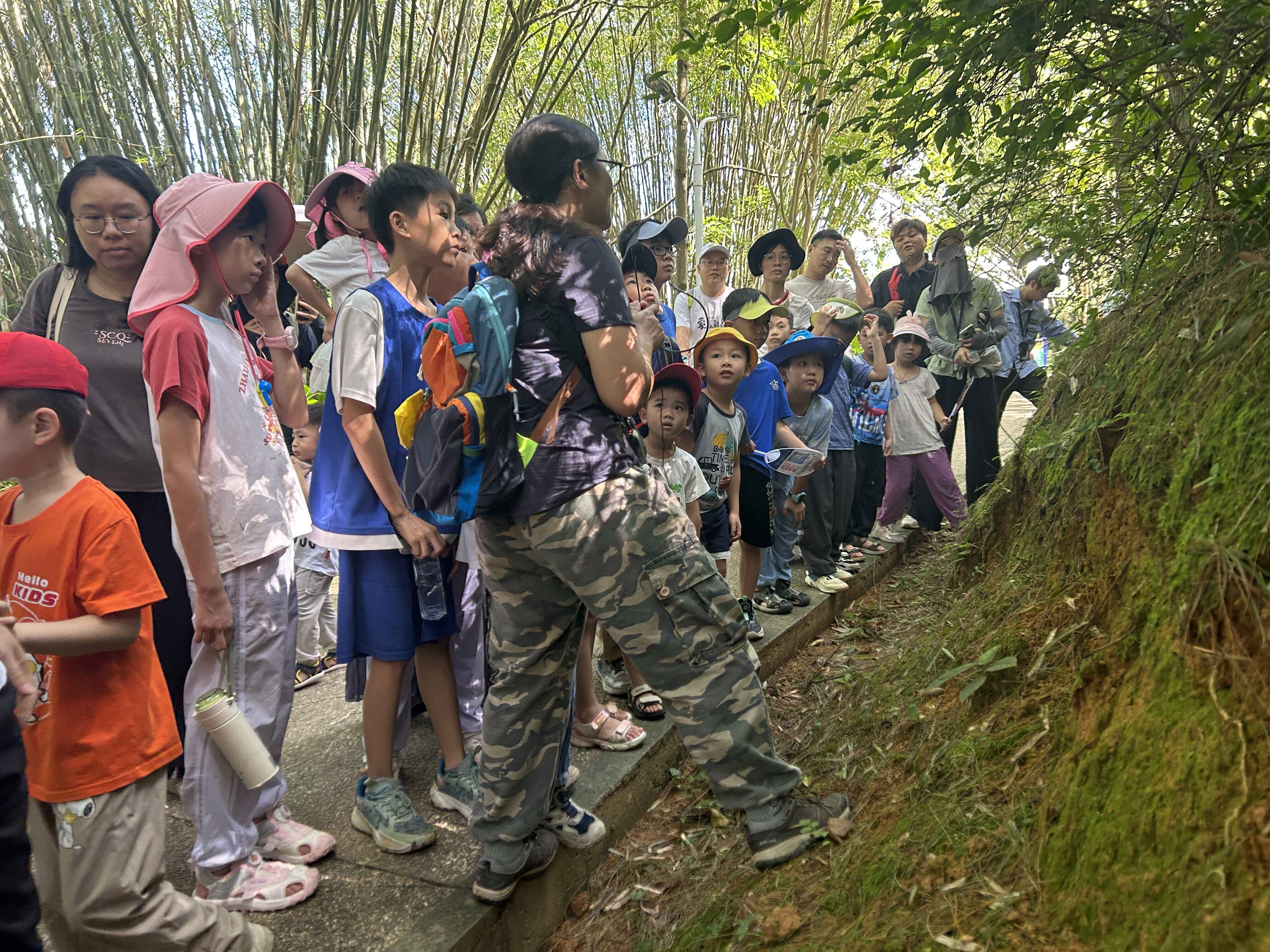 广东云浮南山森林公园成功举办自然科普活动
