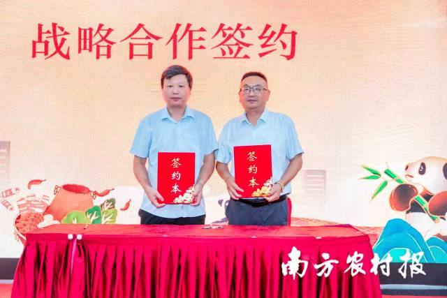 南方农村报 王富迪 拍摄