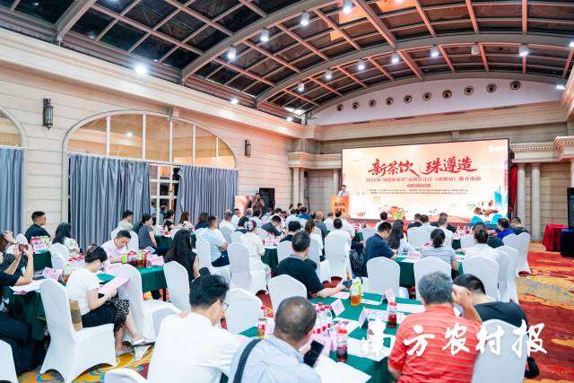 南方农村报 王富迪 拍摄