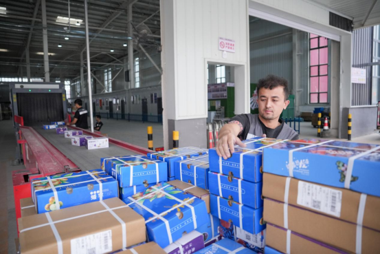 喀什新广5G智慧物流港运输的新疆特色农产品  图源：南方日报
