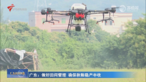 广东:做好田间管理 确保秋粮稳产丰收 广东:做好田间管理 确保秋粮稳产丰收