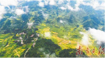 广东力促城乡区域协调发展 南粤乡村迸发多元发展活力 广东力促城乡区域协调发展 南粤乡村迸发多元发展活力