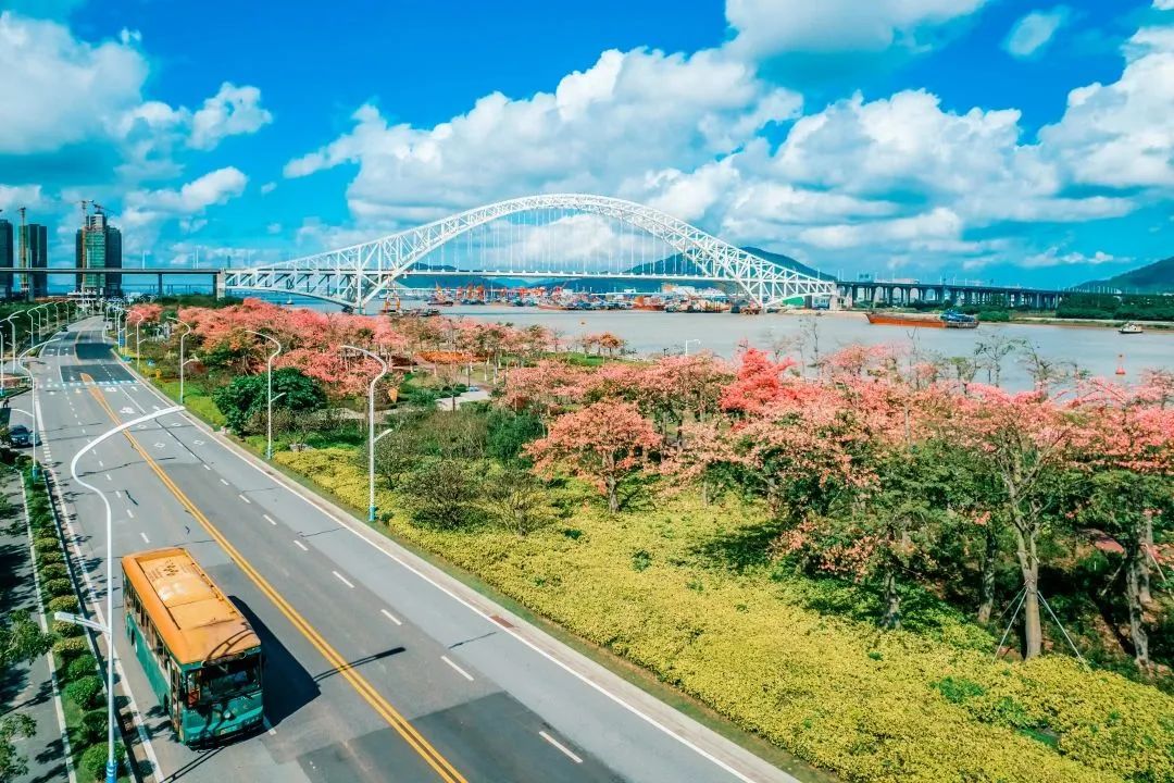 Hengqin celebrates the Chinese New Year with cultural and tourism events
