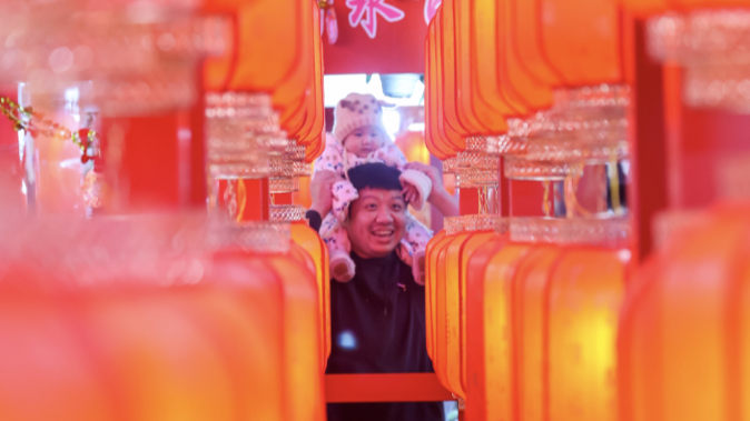 百年花市回归！广州越秀西湖花市开市首日迎来大客流，各式年花挑花眼