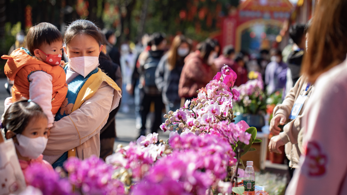 广州白云花市开锣！“满街”年花相映红，除夕夜还有汉服巡游活动