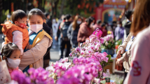 广州白云花市开锣!“满街”年花相映红,除夕夜还有汉服巡游活动 广州白云花市开锣!“满街”年花相映红,除夕夜还有汉服巡游活动