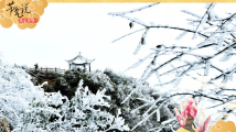 大寒:“下一站,春天。” 大寒:“下一站,春天。”