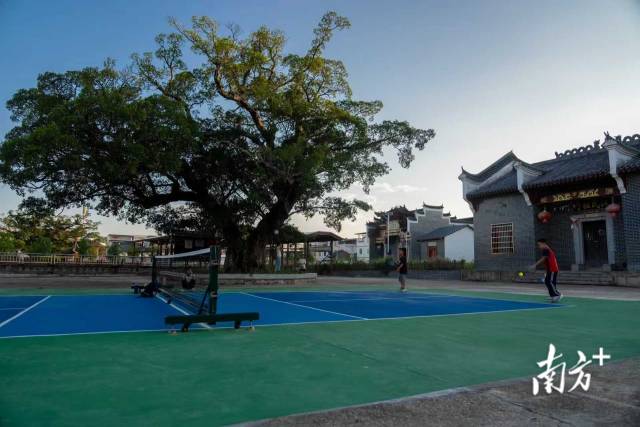 秋日傍晚，学生们放学后纷纷来到匹克球场，开始打球。