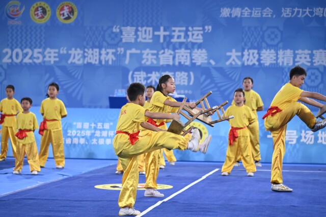 “迎十五运”2025年“龙湖杯”广东省南拳、太极