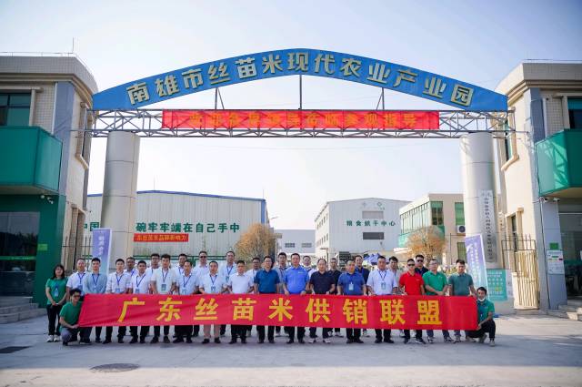 举办广东丝苗米产销对接会 举办广东丝苗米产销对接会