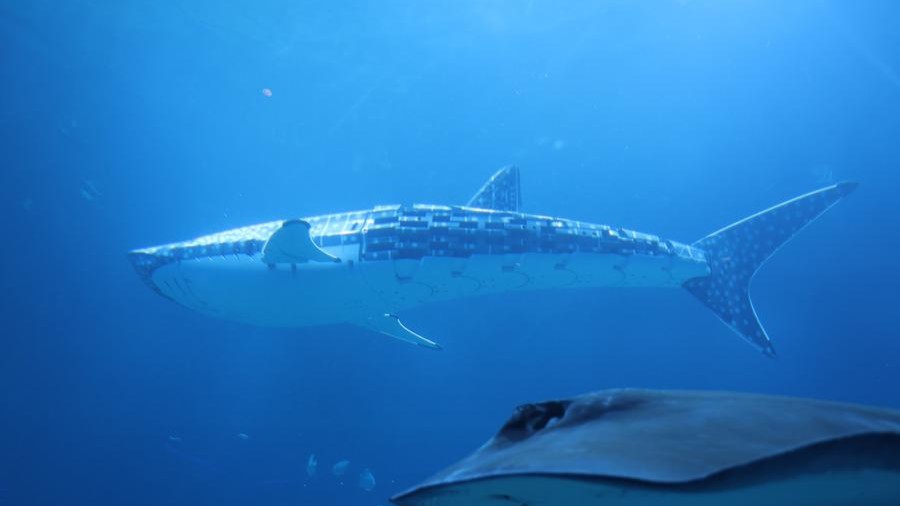 Robotic whale shark at marine park triggers discussion