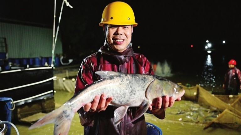 Zhongshan fish transported to Macao in 2 hours