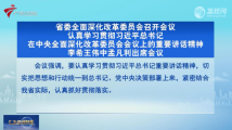 廣東省委全面深化改革委員會召開會議