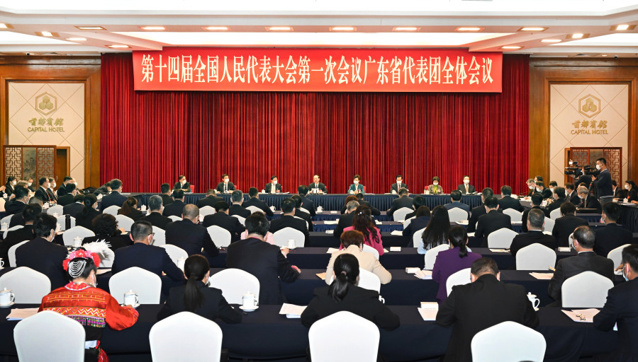 Guangdong NPC deputies join panel discussion