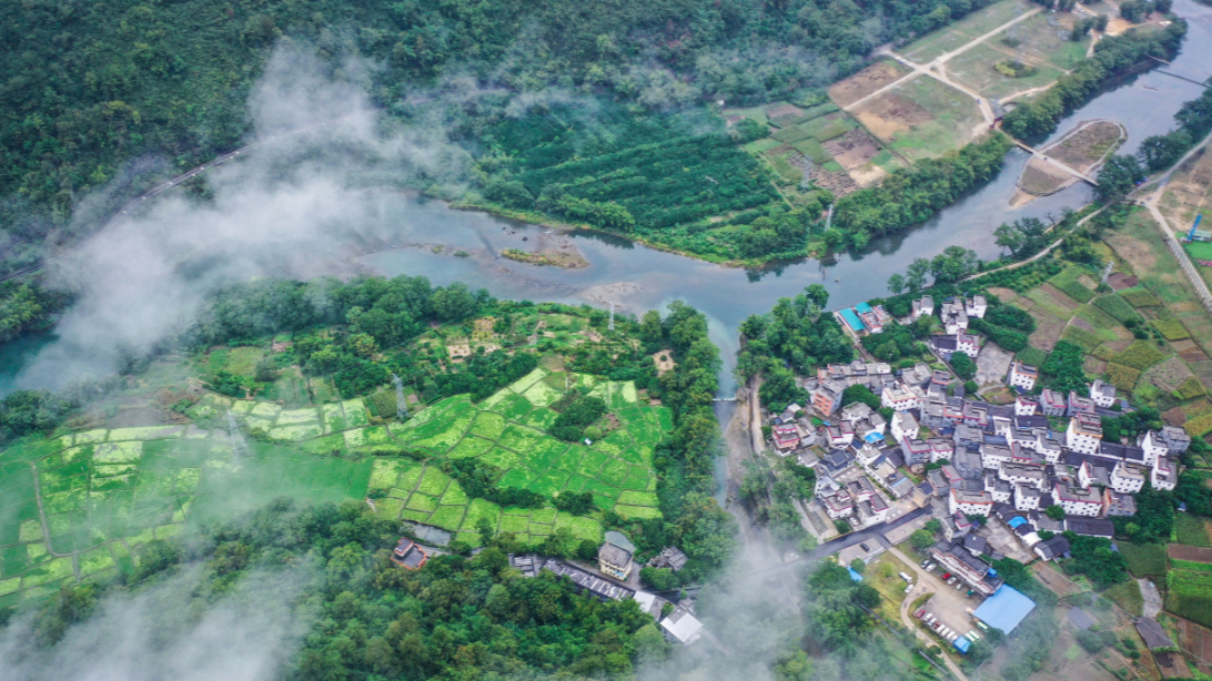Overview of characteristic industries of Qingyuan