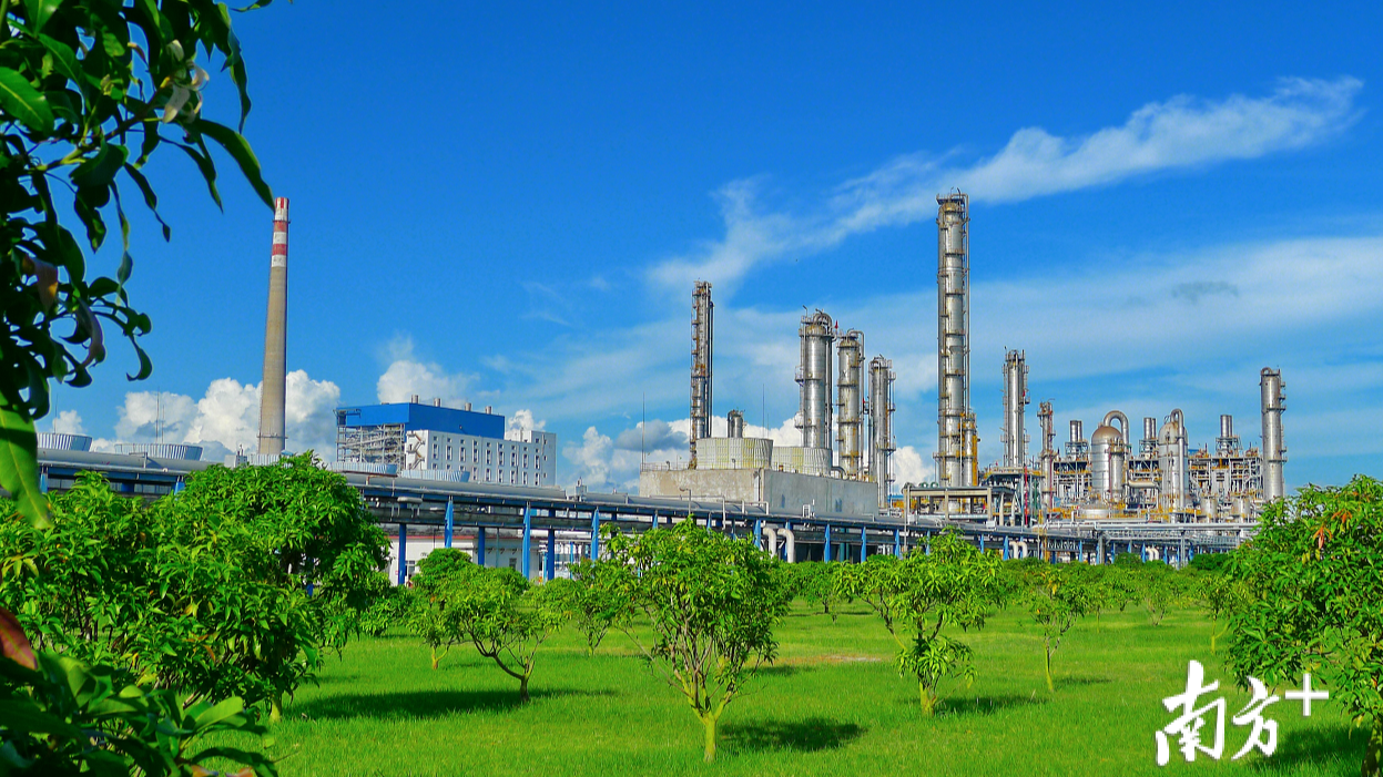 Overview of characteristic industries of Maoming