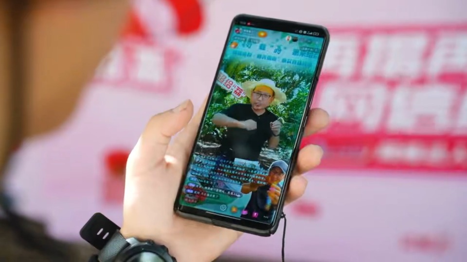 揭阳：“网信力量”赋能乡村振兴，惠来荔枝爆单！