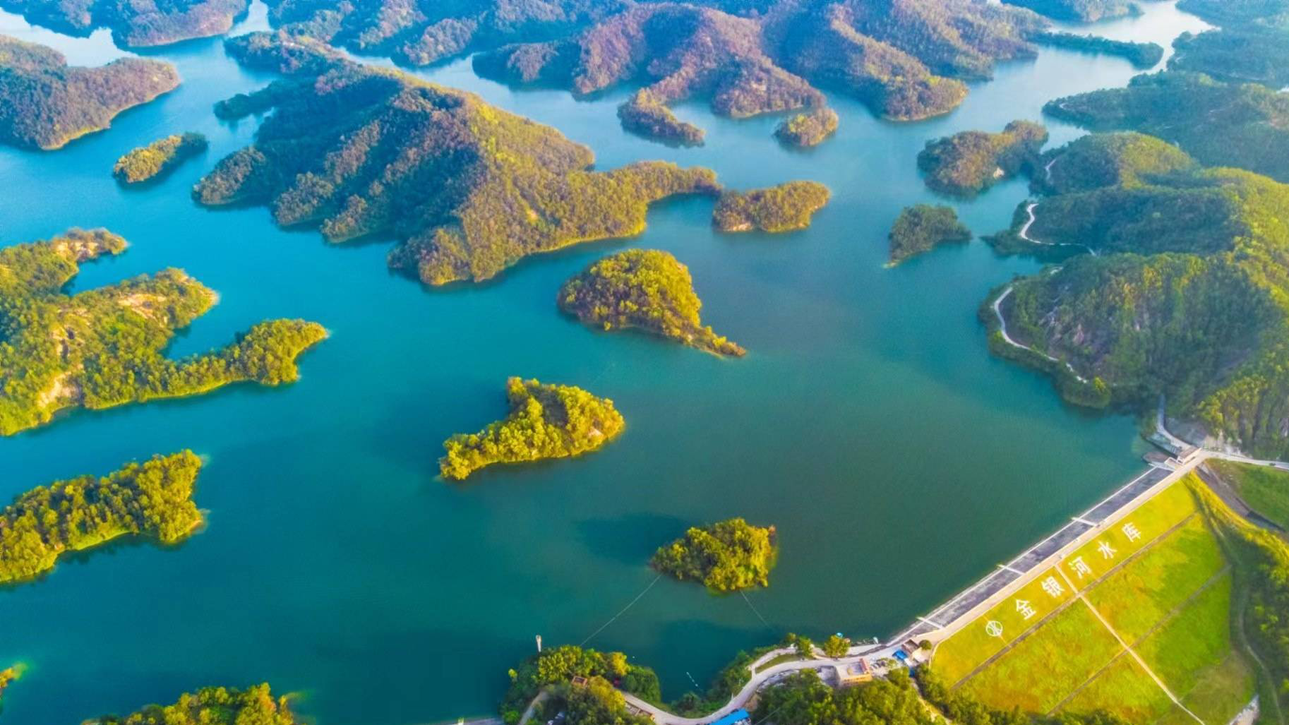 Overview of characteristic industries of Yunfu
