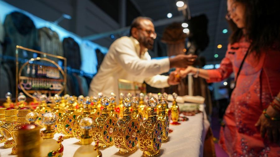 Expo showcases South Asian cultural delight in Kunming