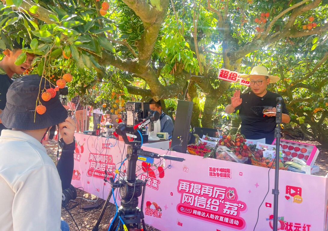 揭阳：“网信力量”赋能乡村振兴，惠来荔枝爆单！