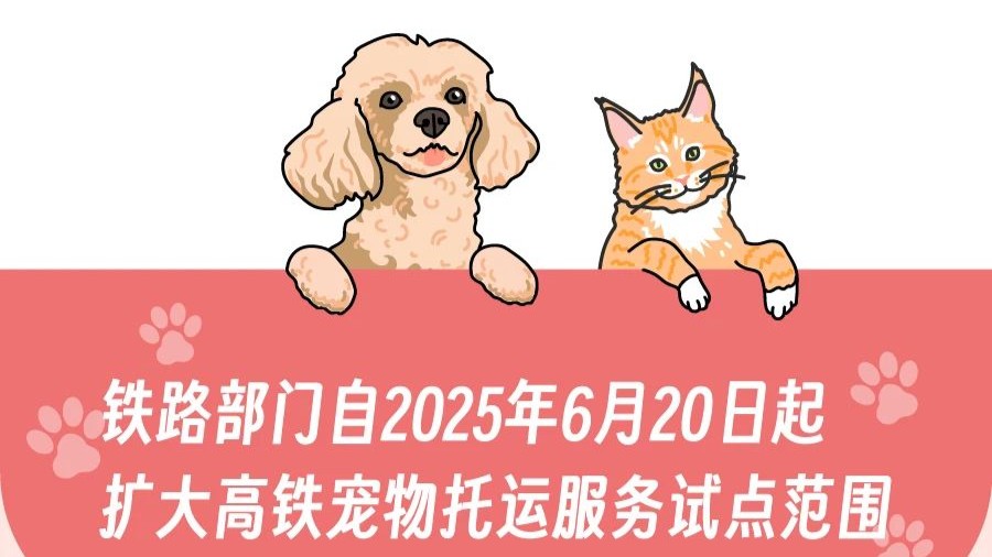 China Railway expands pilot service allowing pets to travel on high-speed trains, covering 25 stations