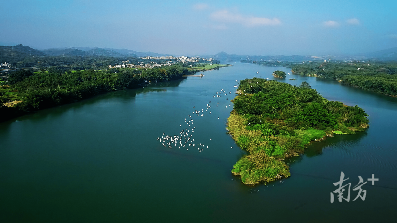 Overview of characteristic industries of Heyuan