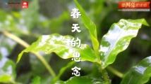 最闪亮的坐标丨春天的思念 最闪亮的坐标丨春天的思念