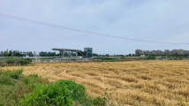 建在农田里的地铁站成“孤岛”,尴尬了谁? 建在农田里的地铁站成“孤岛”,尴尬了谁?