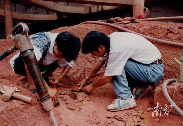 1998年易西兵在吉祥大厦发掘出恐龙蛋。