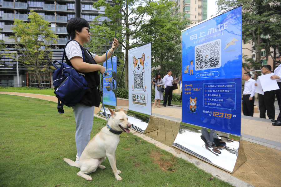 How to get a dog licence in Guangdong?