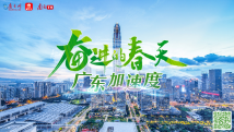 奋进的春天丨广东加速度 奋进的春天丨广东加速度