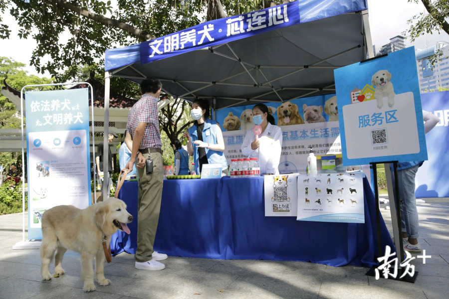 Shenzhen to implant microchips in all dogs
