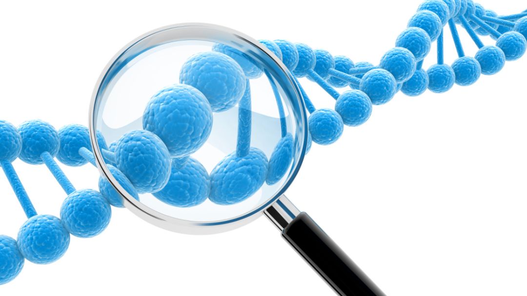 听力筛查通过≠高枕无忧！这个能预测孩子耳聋风险的检查，很多家长都忽略了