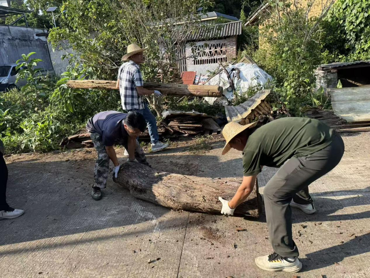 云城区南盛镇全力推进爱国卫生运动