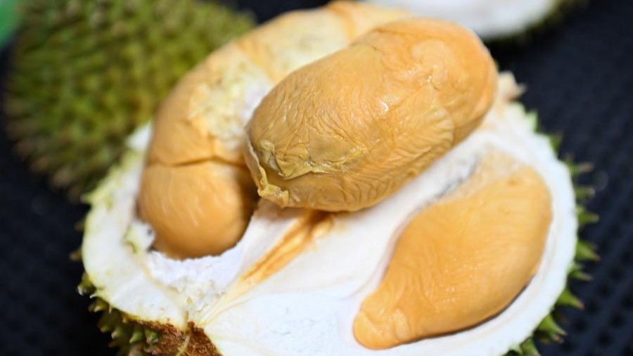 A sweet trip of durians from Malaysia to China