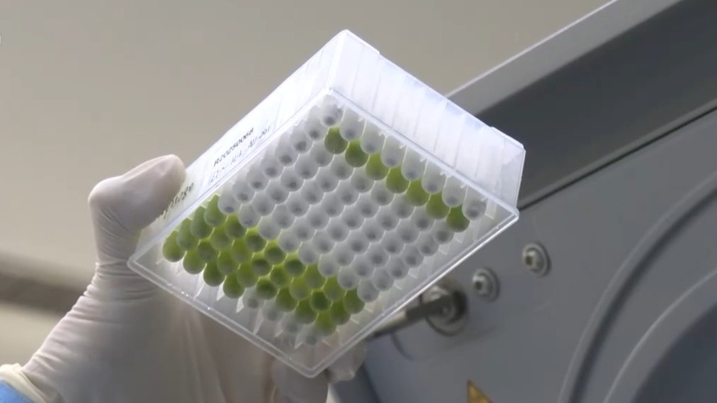我国口粮品种自主率达到100% 粮食作物良种基本实现全覆盖