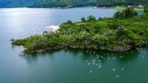 “跟着电影赶大集”东源站暨2025年万绿湖开渔节即将启幕 “跟着电影赶大集”东源站暨2025年万绿湖开渔节即将启幕