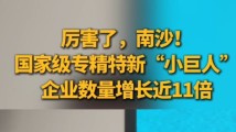 厉害了,南沙!国家级专精特新“小巨人”企业数量增长近11倍 厉害了,南沙!国家级专精特新“小巨人”企业数量增长近11倍