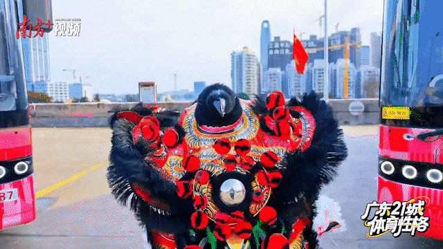 南方+ 潘洁 制图