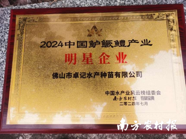 卓记水产获得“2024中国鲈鳜鳢产业明星企业”称号。