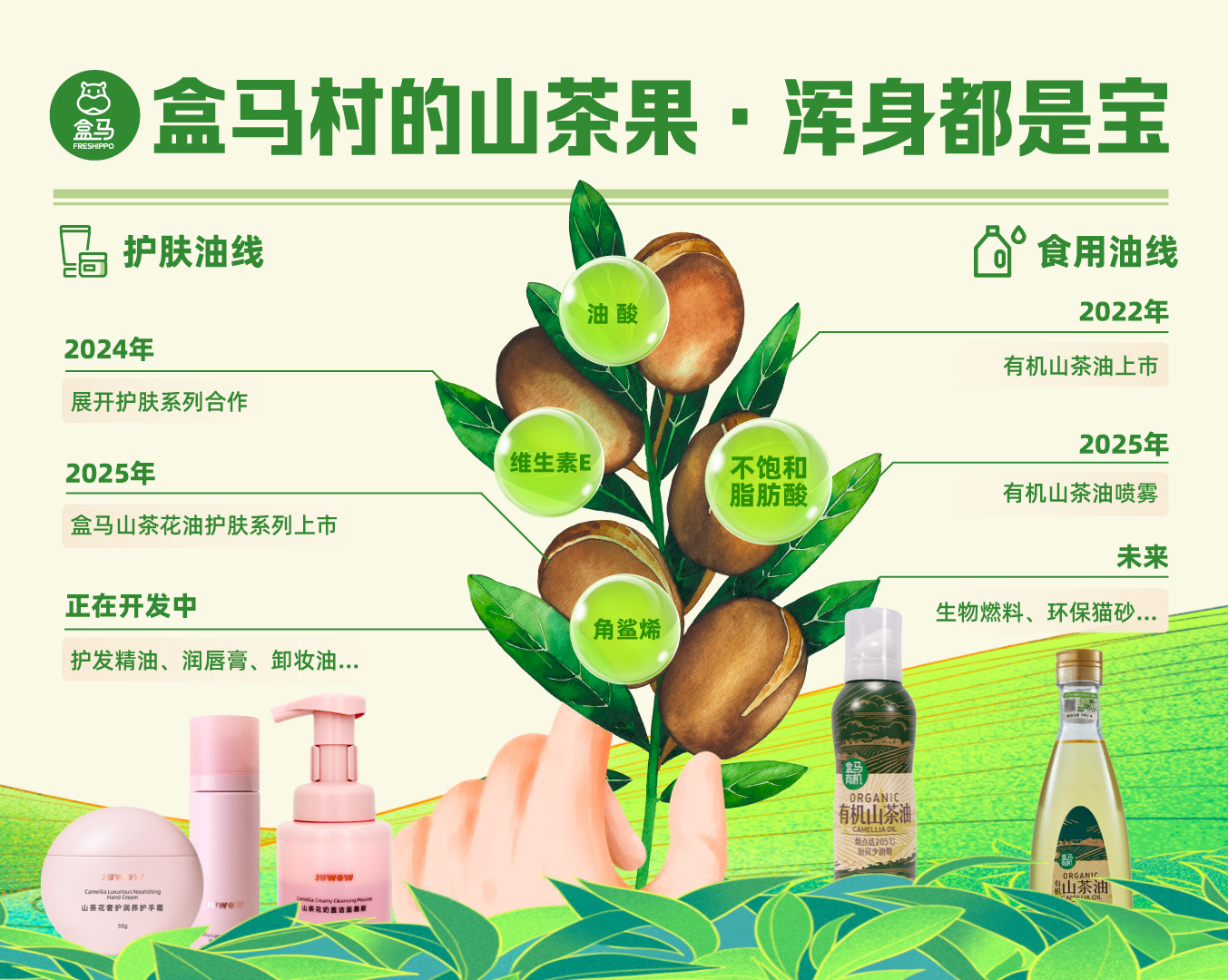 盒马村发展历程