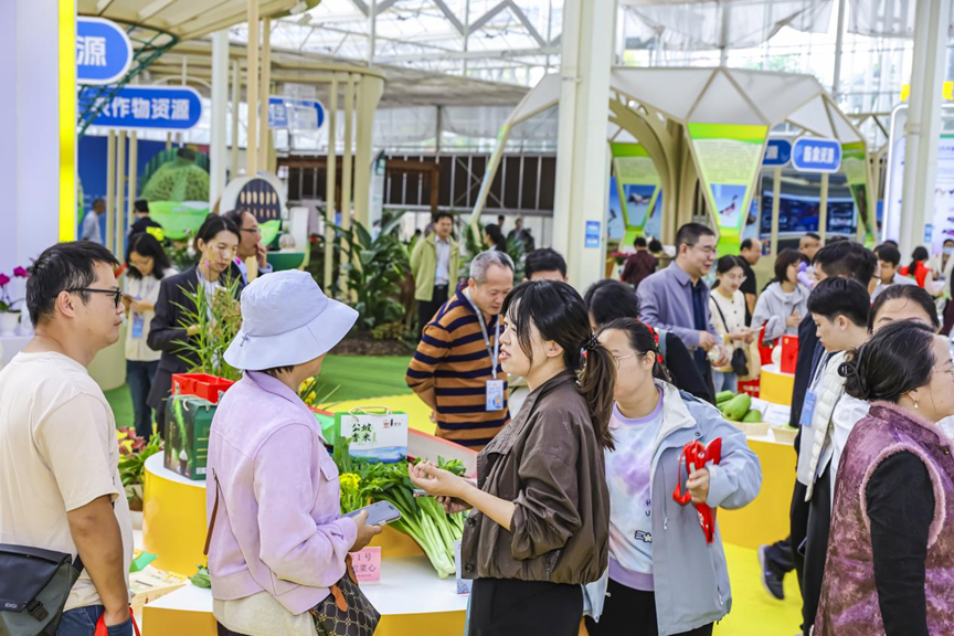 广东种业振兴“五年见成效”成果展上人头攒动