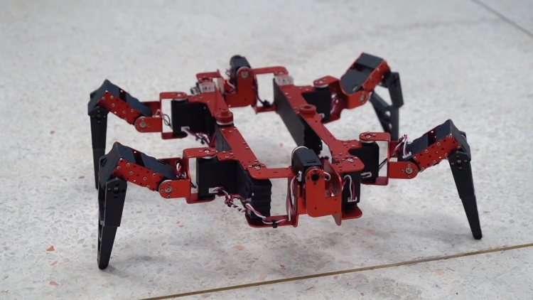 “变形金刚”是怎么变身的？| AI问为什么