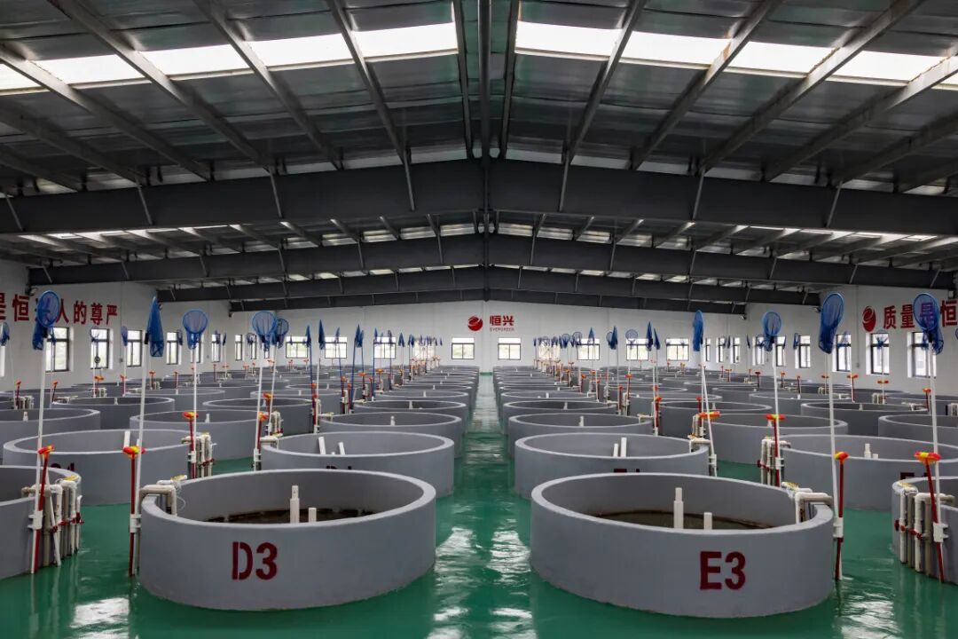 863基地中的水产苗种场。南方日报记者 梁钜聪 摄