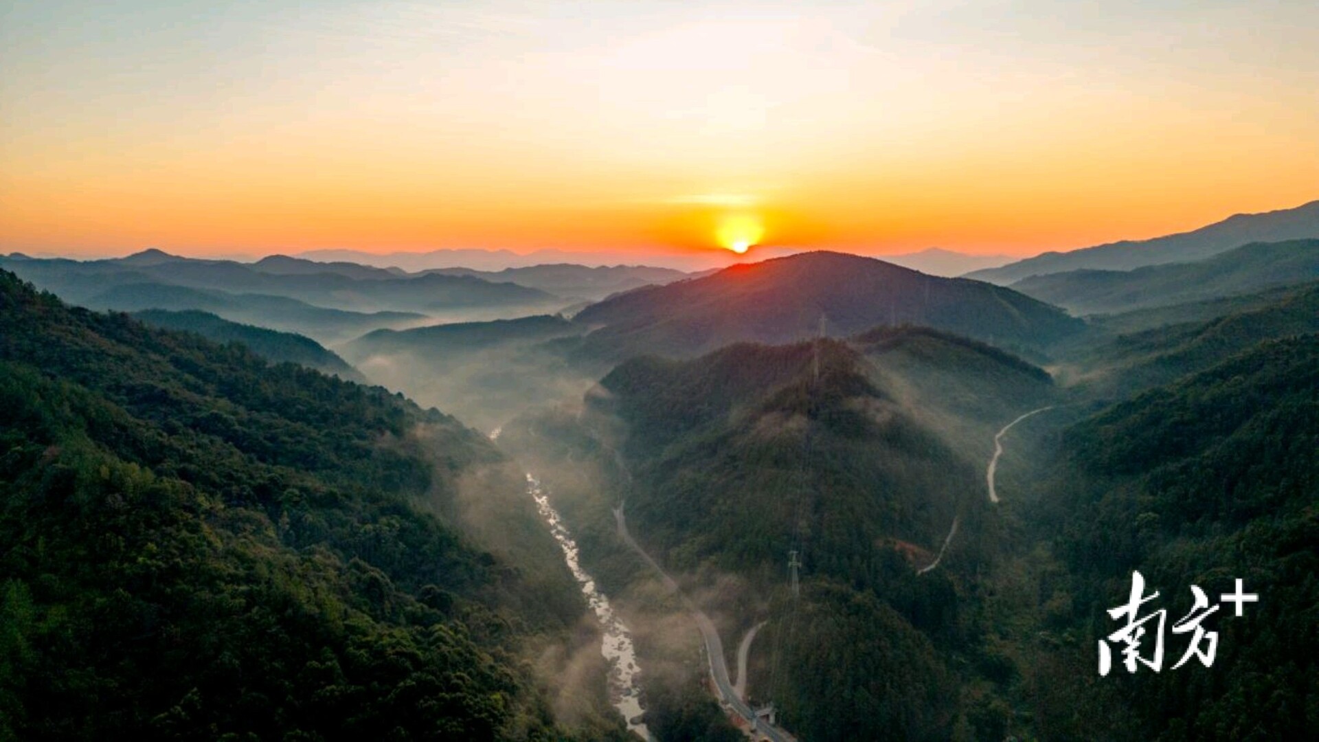 Shanwei turns forests into revenue: "Air Sales" surpass 10 million yuan